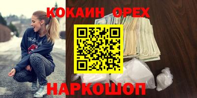 крисы Братск