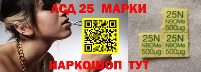гашик Боровичи