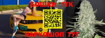 крисы Братск
