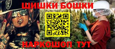 гашик Боровичи