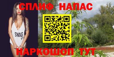 гашик Боровичи
