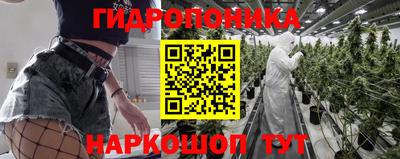 гашик Боровичи
