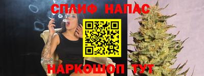 гашик Боровичи