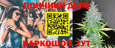 крисы Братск