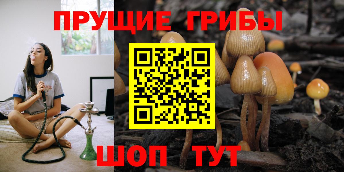 Псилоцибиновые грибы Magic Shrooms  Псилоцибиновые грибы мухоморы  наркота  Вход с VPN  Зеленокумск 