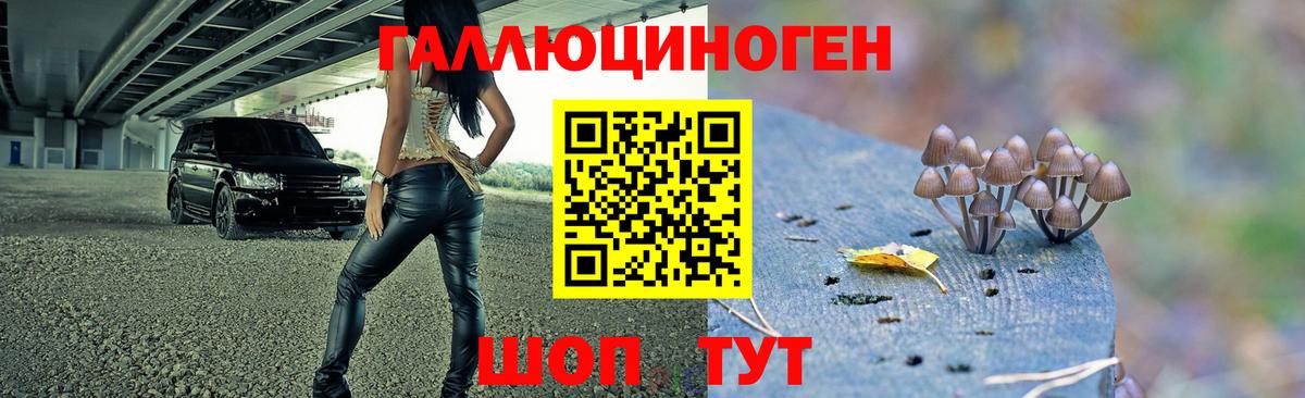 Псилоцибиновые грибы Magic Shrooms Зеленокумск